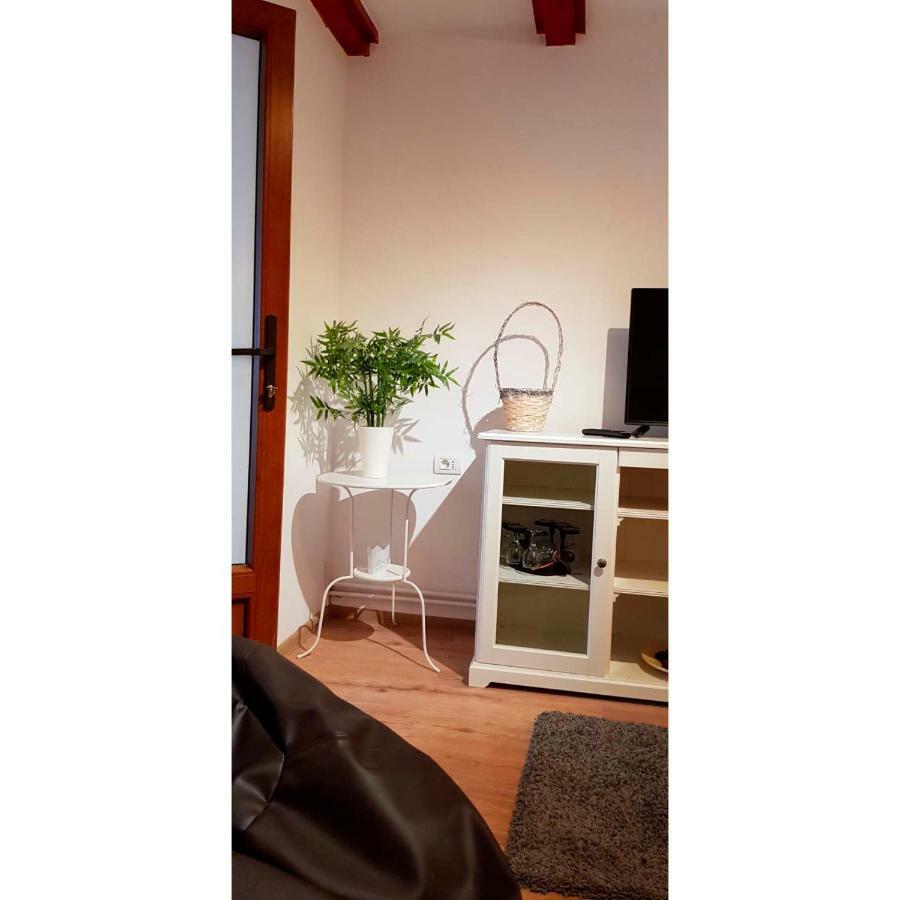 Vaso Apartament Sinaia