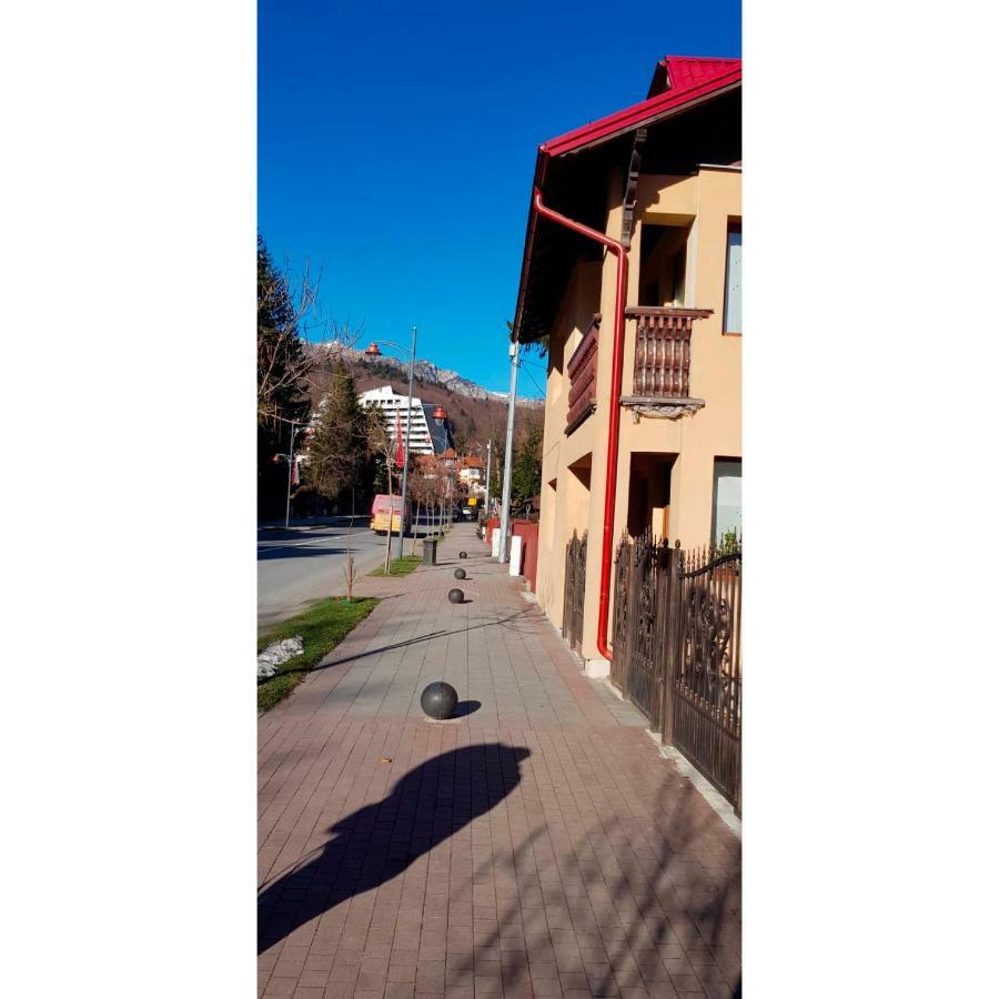 Vaso Apartament Sinaia